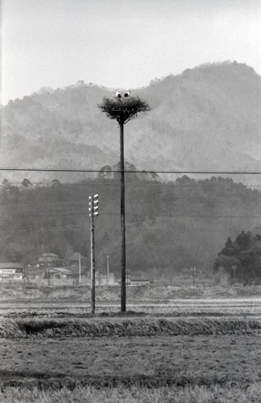 藤岡宥三